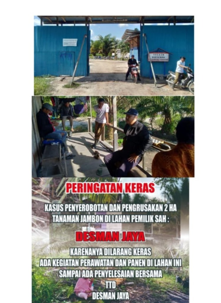 PT.ATM RAMPAS LAHAN DAN KEBUN JABONNYA DESMAN JAYA BERSIKERAS PERTAHANKAN HAKNYA