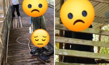 " MAYAT MISTERIUS DITEMUKAN MEMBUSUK DI KANDANG AYAM TAK BERPENGHUNI, WARGA GEGER! " 