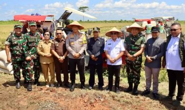 " PANEN RAYA KOLOSAL SERENTAK 14 PROVINSI, KAPOLDA BERSAMA GUBERNUR DAN FORKOPIMDA TURUN LANGSUNG KE SAWAH : KALTENG SIAP JADI GARDA DEPAN SWASEMBADA PANGAN NASIONAL " 