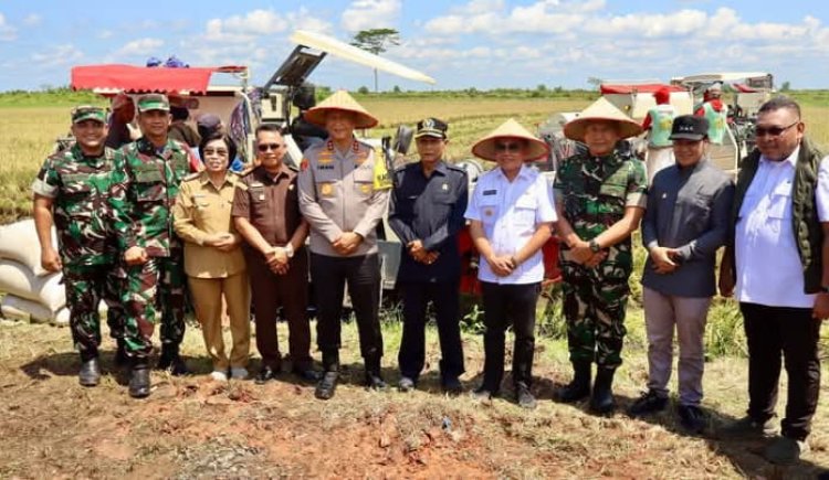 " PANEN RAYA KOLOSAL SERENTAK 14 PROVINSI, KAPOLDA BERSAMA GUBERNUR DAN FORKOPIMDA TURUN LANGSUNG KE SAWAH : KALTENG SIAP JADI GARDA DEPAN SWASEMBADA PANGAN NASIONAL " 