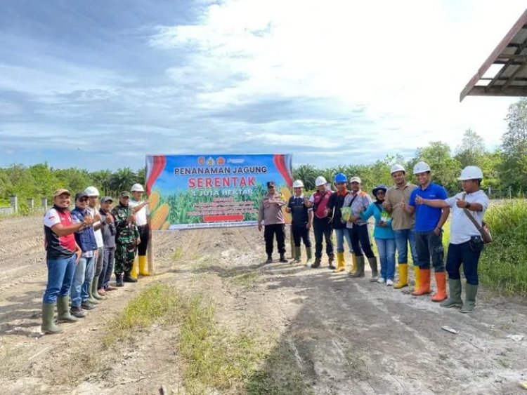 " BHABINKAMTIBMAS POLSEK KUMAI KAWAL LANGSUNG AKSI PENANAMAN JAGUNG SERENTAK 1 JUTA HEKTAR DI DESA SUNGAI BEDAUN " 