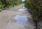 " KONDISI JALAN BINA JADI RT. 04 SUNGAI TENDANG RUSAK DAN TERGENANG AIR, JALUR STRATEGIS MENUJU POLSEK KUMAI MENGANCAM KESELAMATAN PENGGUNA JALAN " 